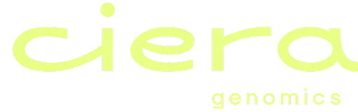 CIERA EUROPA